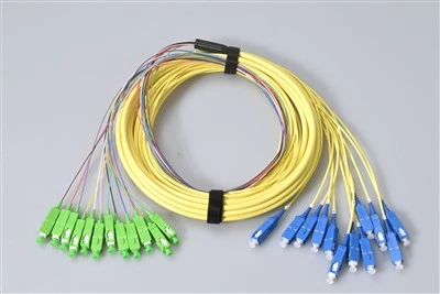 12 Core Patch Cord SC UPC TO SC APC